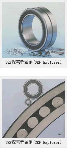 SKF̽(SKF Explorer)